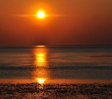 Lägenhet Friesennest *